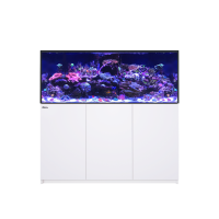Reefer 625 G3